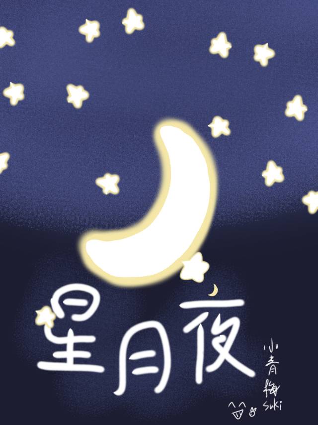 [排球]星月夜