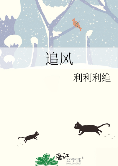 追风加速器