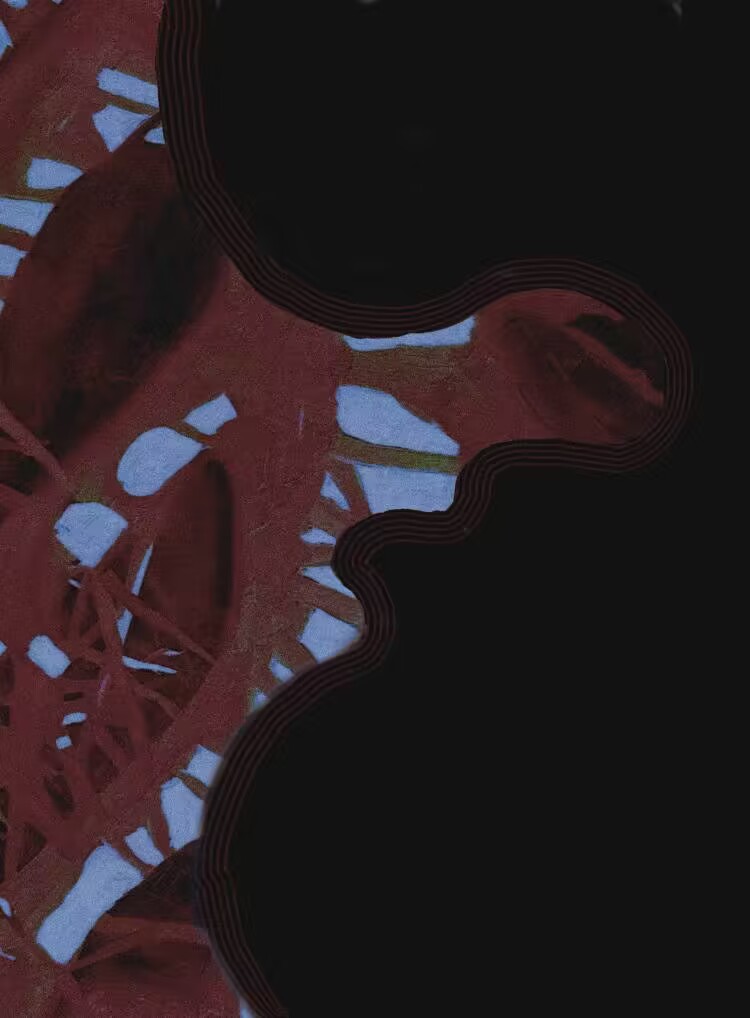 妻子不可能是宿敌