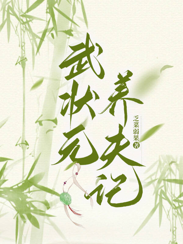 武状元视频